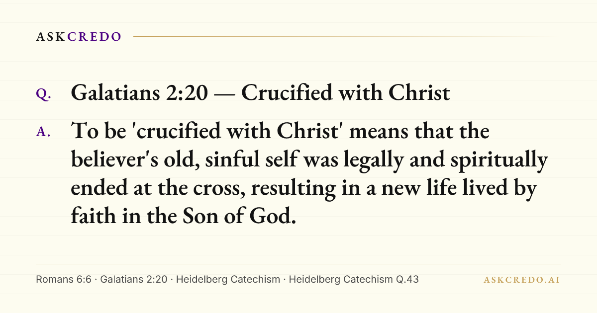 Shareable card for this answer