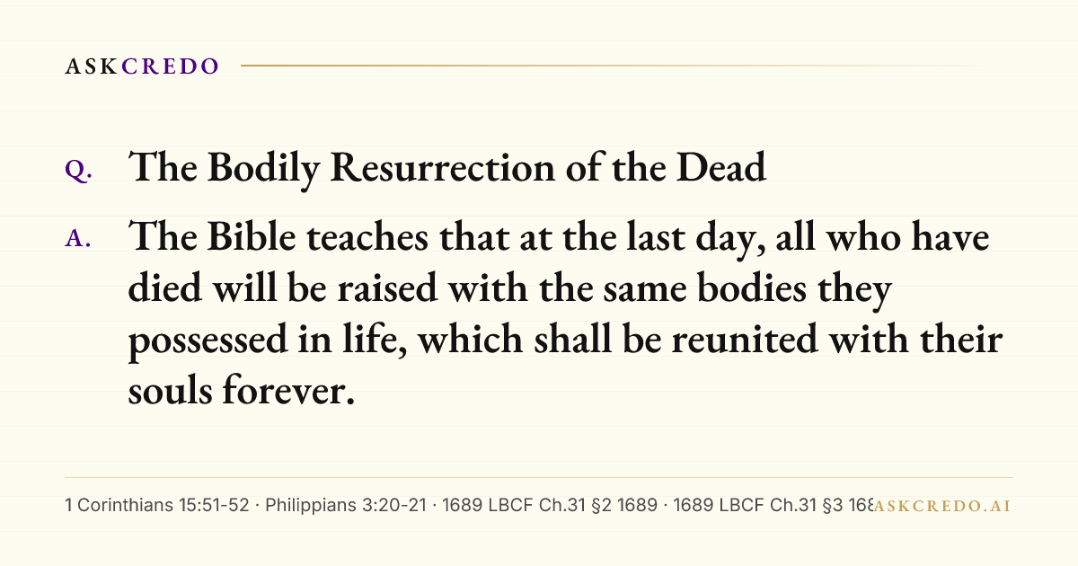 Shareable card for this answer